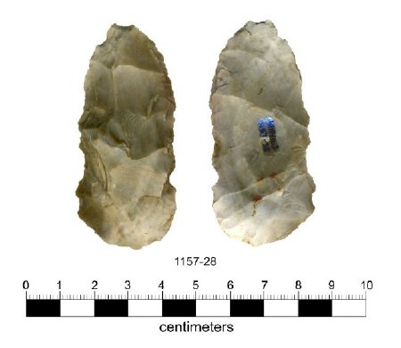 Lithic                                  